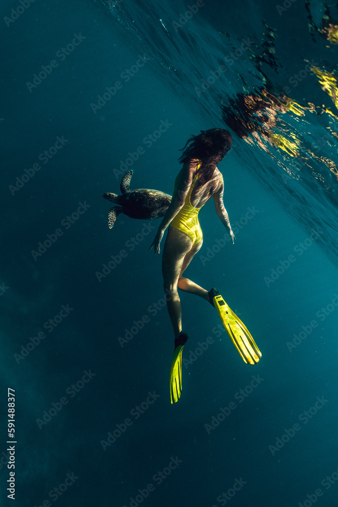 custom made wallpaper toronto digitalsnorkeling Freediver woman and turtle in natural habitat. underwater contact of Beautiful girl swim next to wild animals on surface of clear blue sea or ocean. Unique sea voyage, trip, travel.
