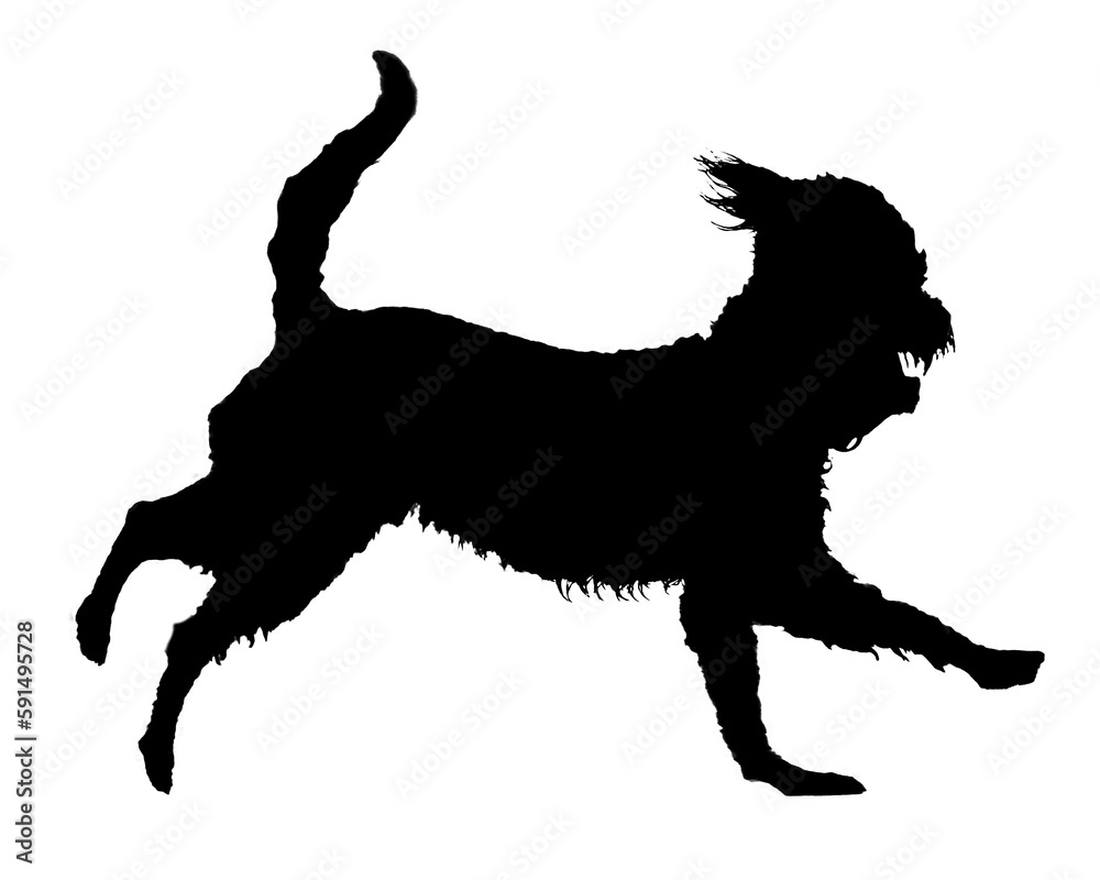 Dog running isolated graphic