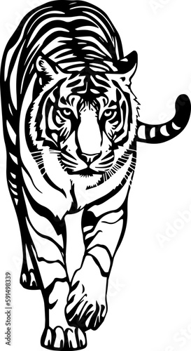 Illustration of walking tiger in drawing stencil style.