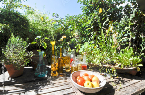 Plants, fruits and bottles with herbal infusions standing on garden table photo