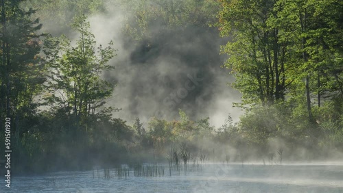 Mist rising off of pond at sunrise