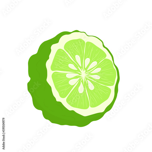 Bergamot Vector stock illustration. Green citrus fruit. For labels, packaging: of Spa aroma oil tea. Bergamot fruit with cut in half isolated on white background. lime