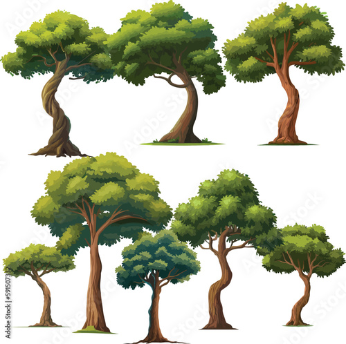 high-quality different variant tree collection vector illustration. isolated on white artboard