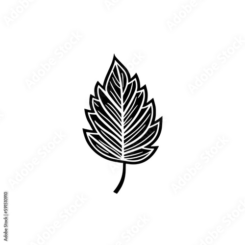 Leaf vector illustration isolated on transparent background