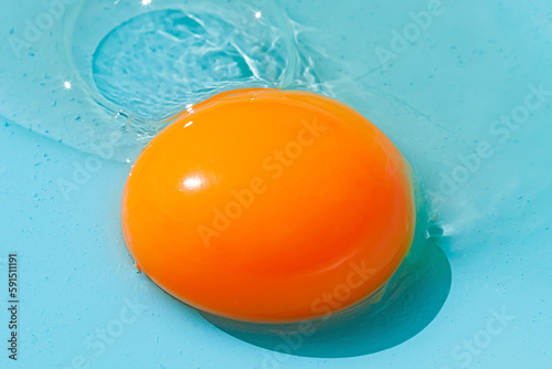 Orange egg yolk on blue background photo