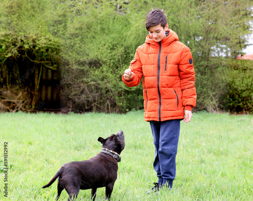 Young owner give a treat to sweet dog with animal candy small peace of dog food for a reward after the dog obey to the command on good behavior. Young owner give a treat to sweet dog with animal candy small peace of dog food for a reward after the dog obey to the command on good behavior.