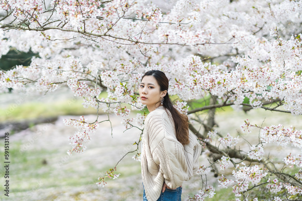 桜の花と女性 桜の花と女性