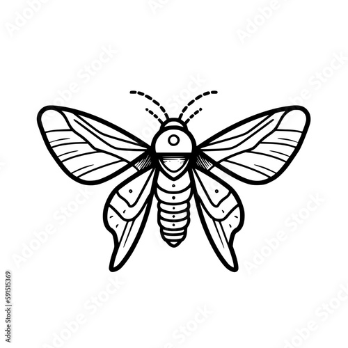 Moth vector illustration isolated on transparent background