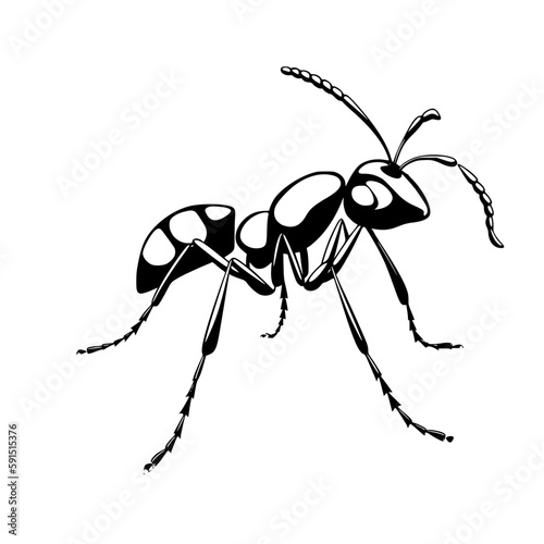 Ant vector illustration isolated on transparent background
