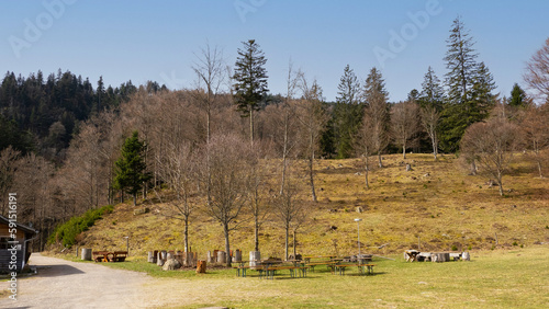 Nonnenmattweiher - Karsee im Kleines Wiesental und und ein beliebtes Wanderziel im Schwarzwalf. Fischerhütte, ein malerisch gelegenes Blockhaus nahe dem See
 photo