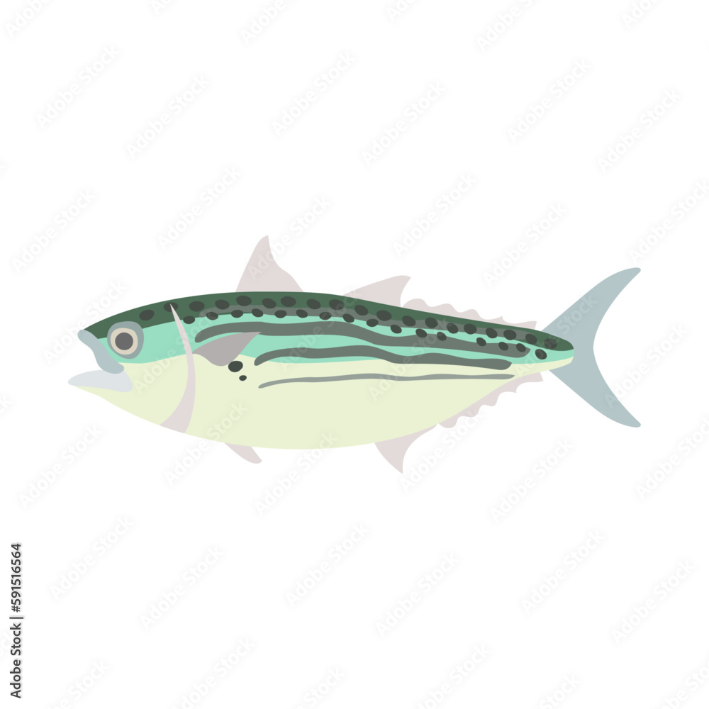 グルクマ(グルクマー)。フラットなベクターイラスト。
Indian mackerel. Flat designed vector illustration. グルクマ(グルクマー)。フラットなベクターイラスト。
Indian mackerel. Flat designed vector illustration.