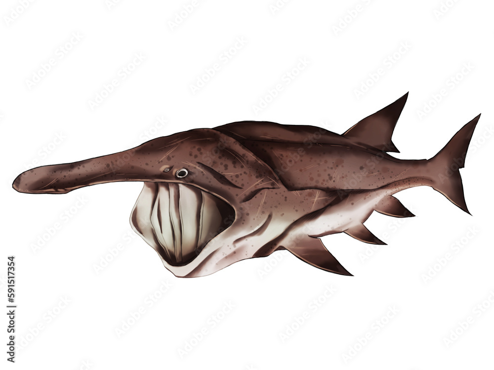 Fototapeta premium Illustration of american paddlefish in realistic traditional style