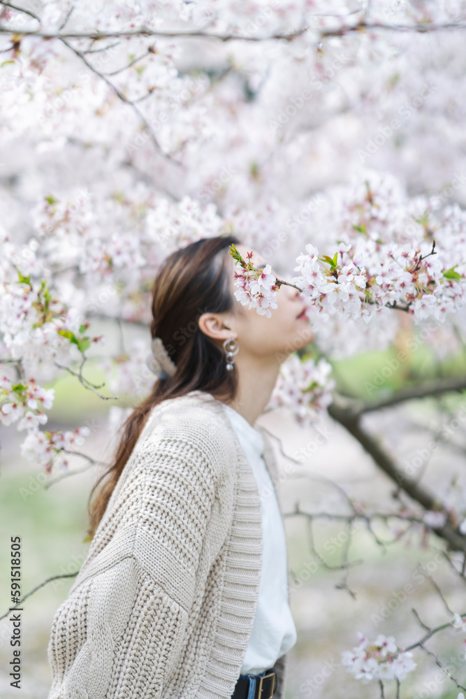 桜の花と女性 桜の花と女性