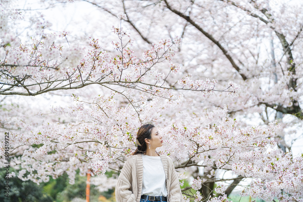 桜の花と女性 桜の花と女性