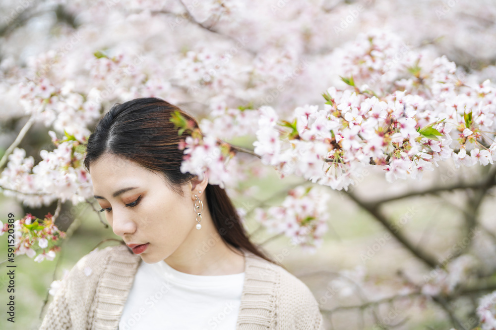 桜の花と女性