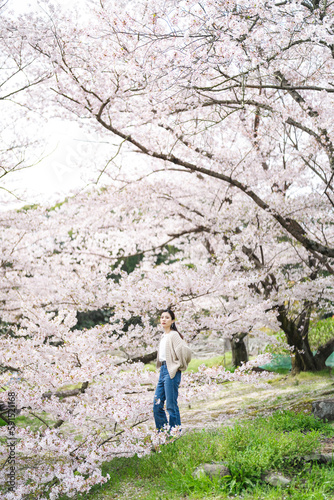 桜の花と女性