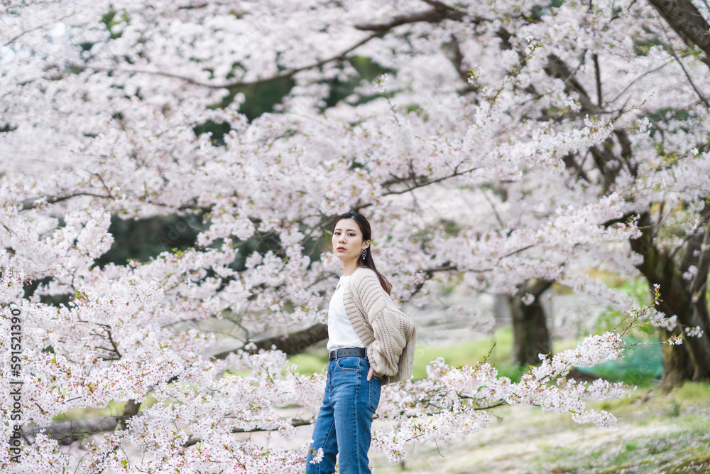 桜の花と女性 桜の花と女性
