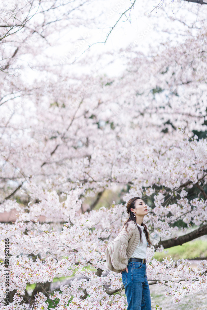 桜の花と女性 桜の花と女性