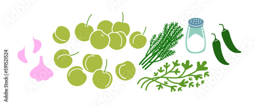 Green tkemali sauce fresh ingridients set. Plum sause making. Flat vector illustration isolated on white background.