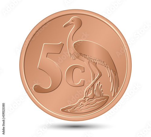 South African bronze five cent coin isolated on white background. Vector illustration.