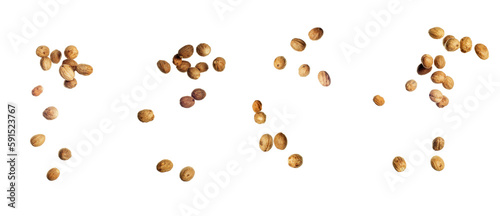 Falling Nutmeg isolated on white background, selective focus