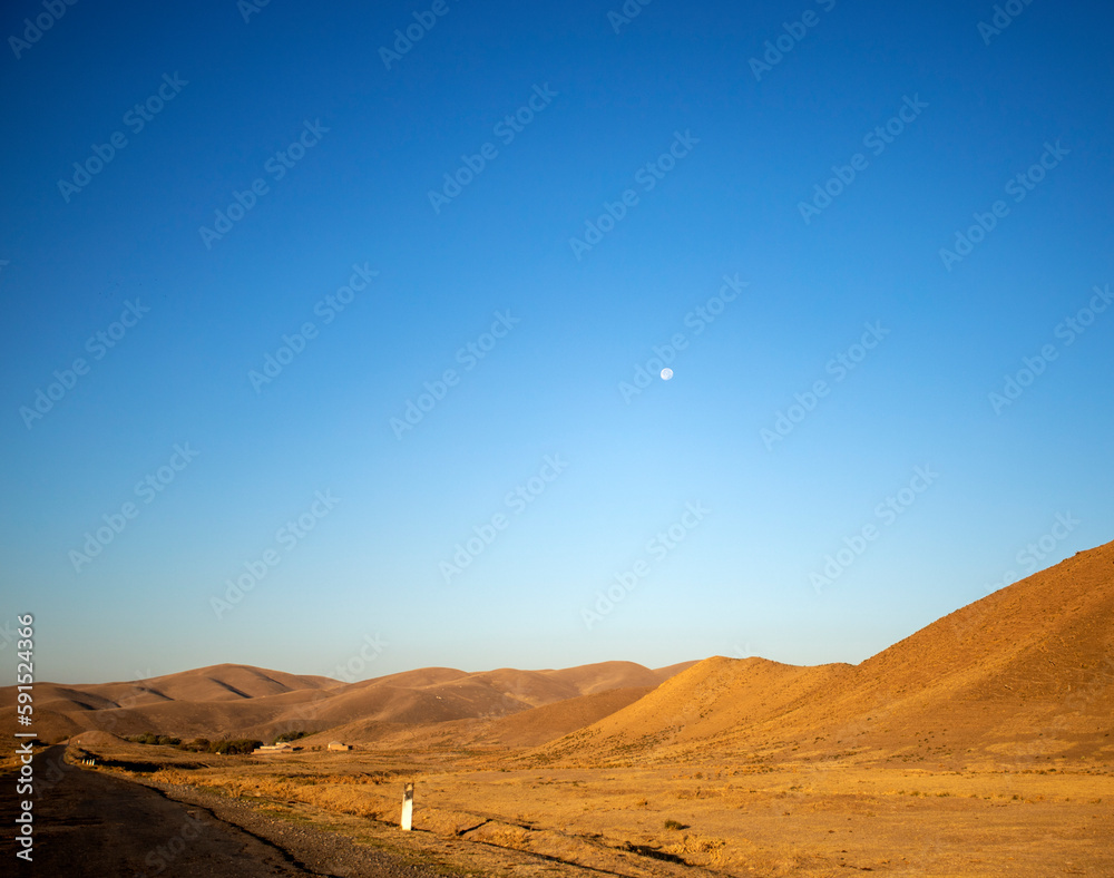 Naklejka premium Desert steppe in Central Asia