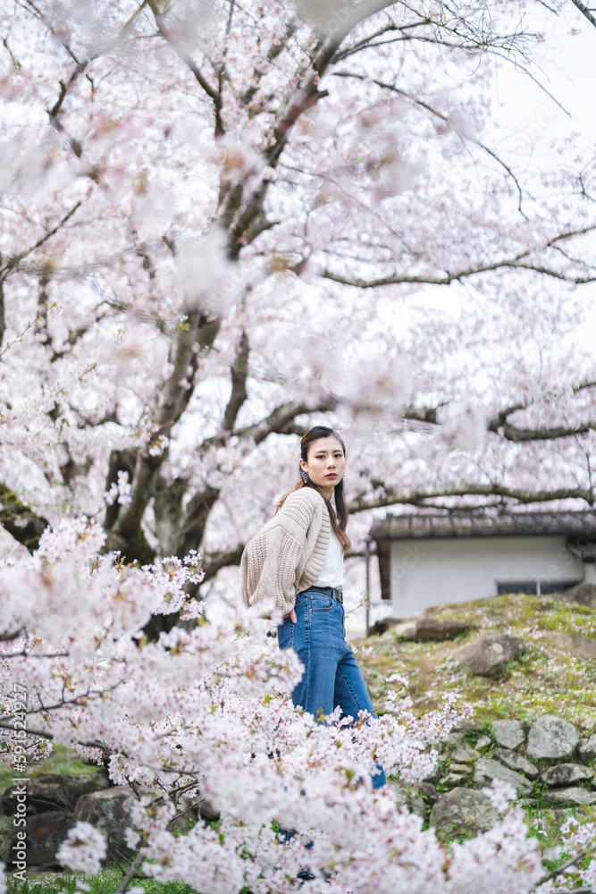 桜の花と女性 桜の花と女性