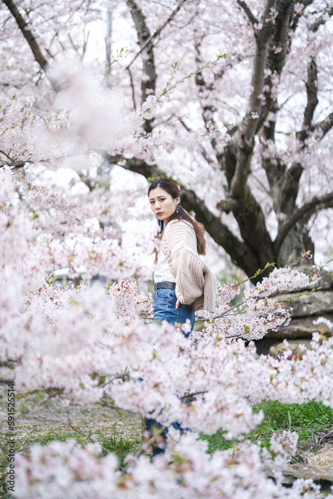 桜の花と女性