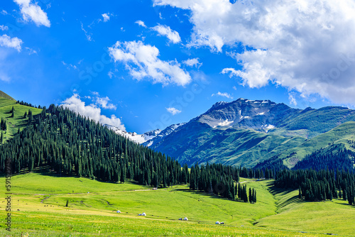 Green grassland natural landscape in Xinjiang  China. Beautiful forest and mountain with green grass in the summer.