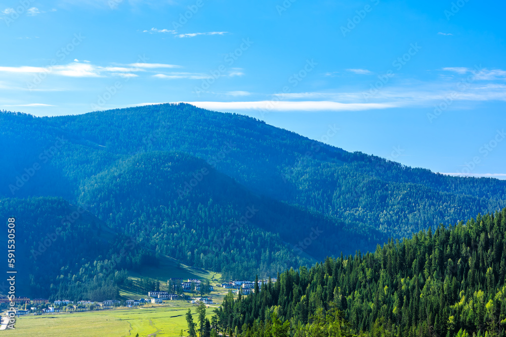 Green forest and mountain natural landscape in summer