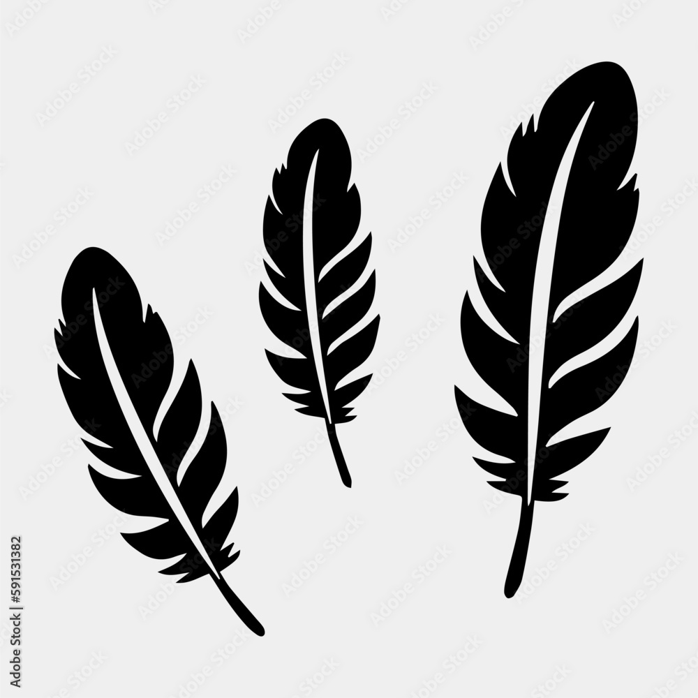 Obraz premium set of feathers vector design