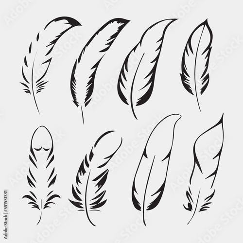 set of feathers vector design isolated on white