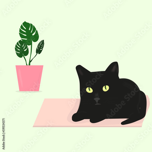cute black kitten on a pink rug. Vector illustration