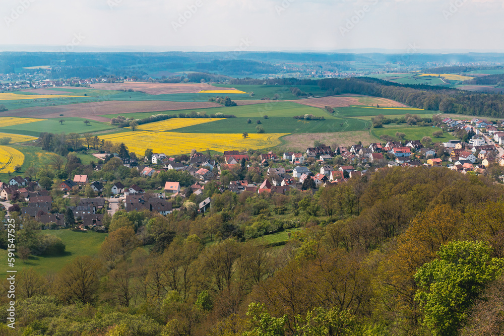Bamberg countryside with fields of yellow rapeseed in bloom