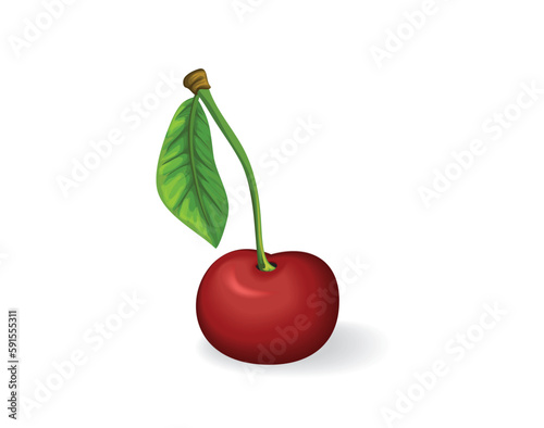 One kirsberry, isolated on white background. Vector illustration.