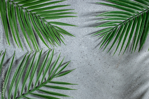 green palm leaf branches background. Summer concept, flat lay, top view