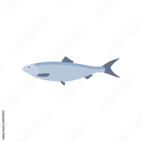 Wallpaper Mural saltwater fish flat design vector illustration. fresh fish icon seafood logo. can be use for restaurant, fishing logo Torontodigital.ca