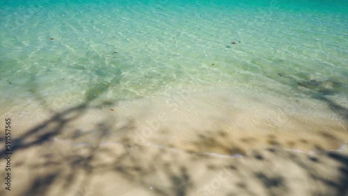 Aerial view of the sand with the shadow of branch and the water surfing on the sea