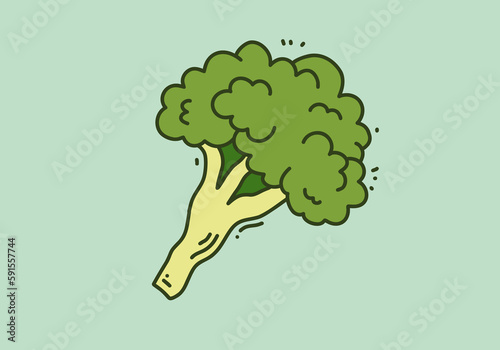 Green color design of the broccoli