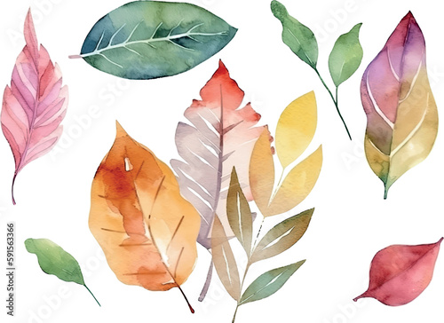 Vector Watercolor set of branches with colorful leaves, for wedding invitations, greetings, wallpapers, fashion, prints. Eucalyptus, olive green leaves.	