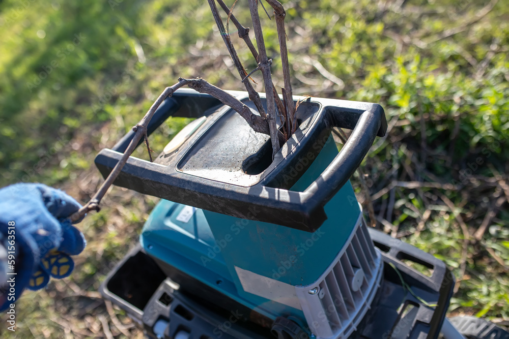 gardener's hand holds branch while working with garden shredder. Spring gardening. concept of working in garden in spring. gardener's hand holds branch while working with garden shredder. Spring gardening. concept of working in garden in spring.