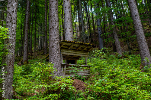 High seat made of wood in the forest