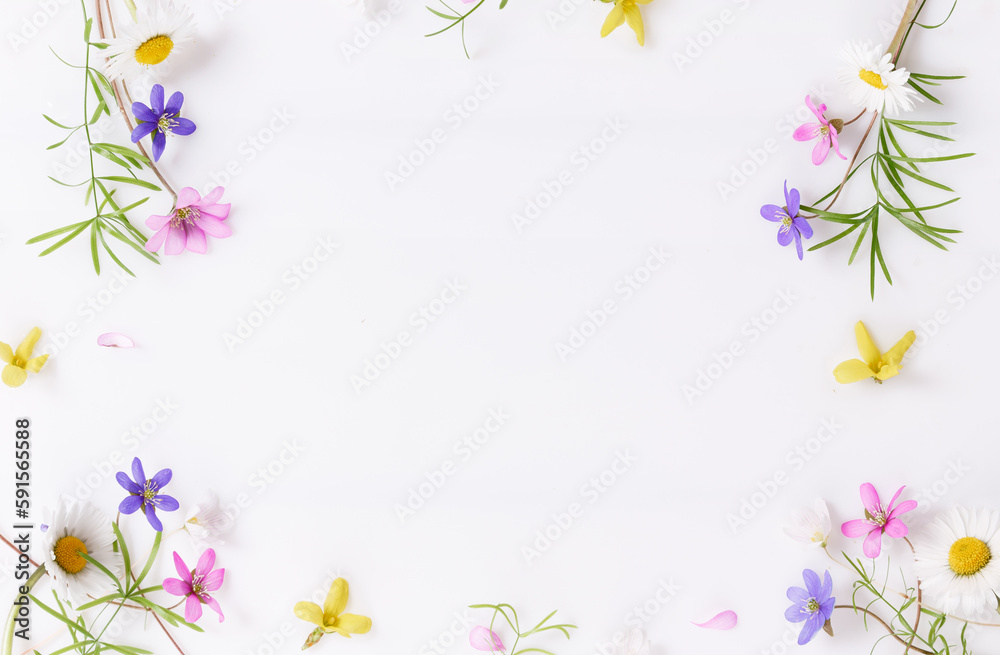Floral pattern with wildflowers, green leaves, branch on white background. Flat lay