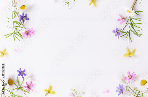 Floral pattern with wildflowers  green leaves  branch on white background. Flat lay