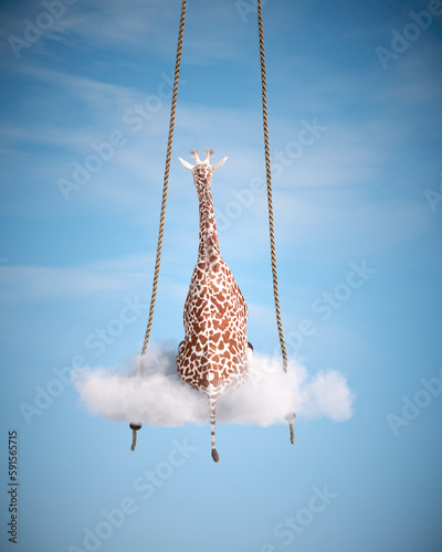 Photography Giraffe sitting on a swing. Freedom and happiness concept.