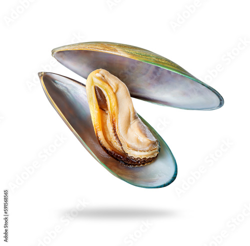 Canvas Print Opened large mussel in a shell closeup on a transparent background