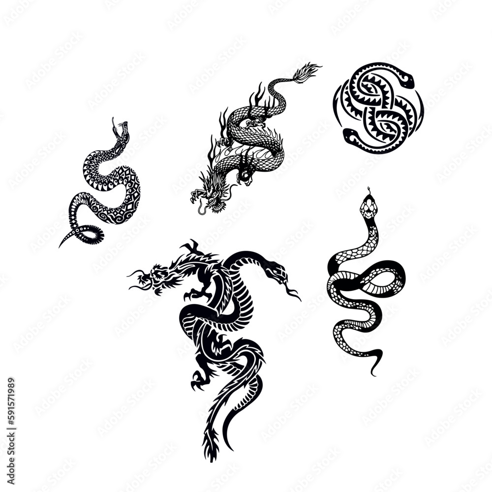 Snake Dragon Tattoo Designs