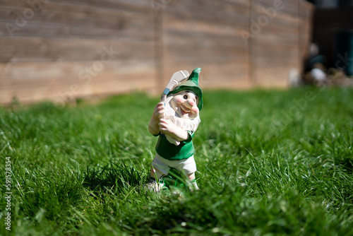 Garden Irish GAA gnome on the grass photo