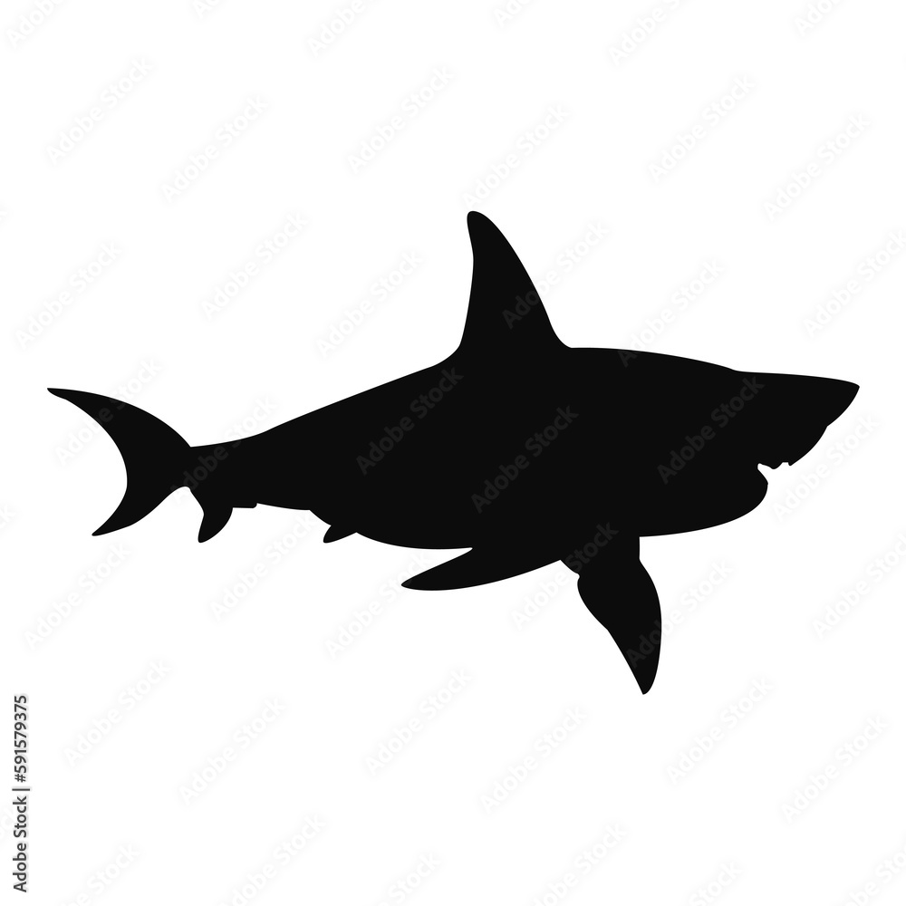 Shark silhouette. Black shark illustration. Shark silhouette. Black shark illustration.