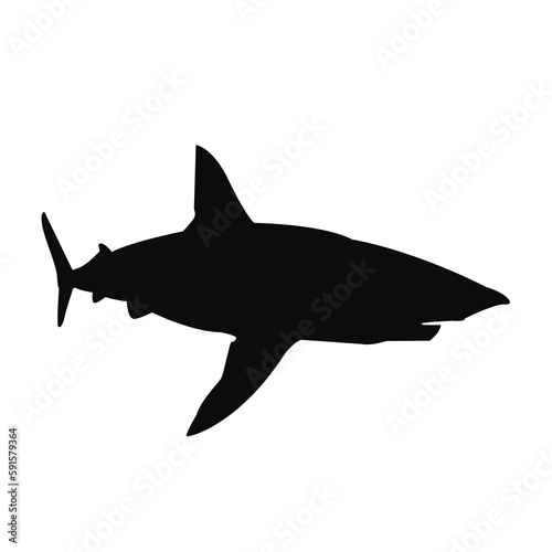 Shark silhouette. Black shark illustration.